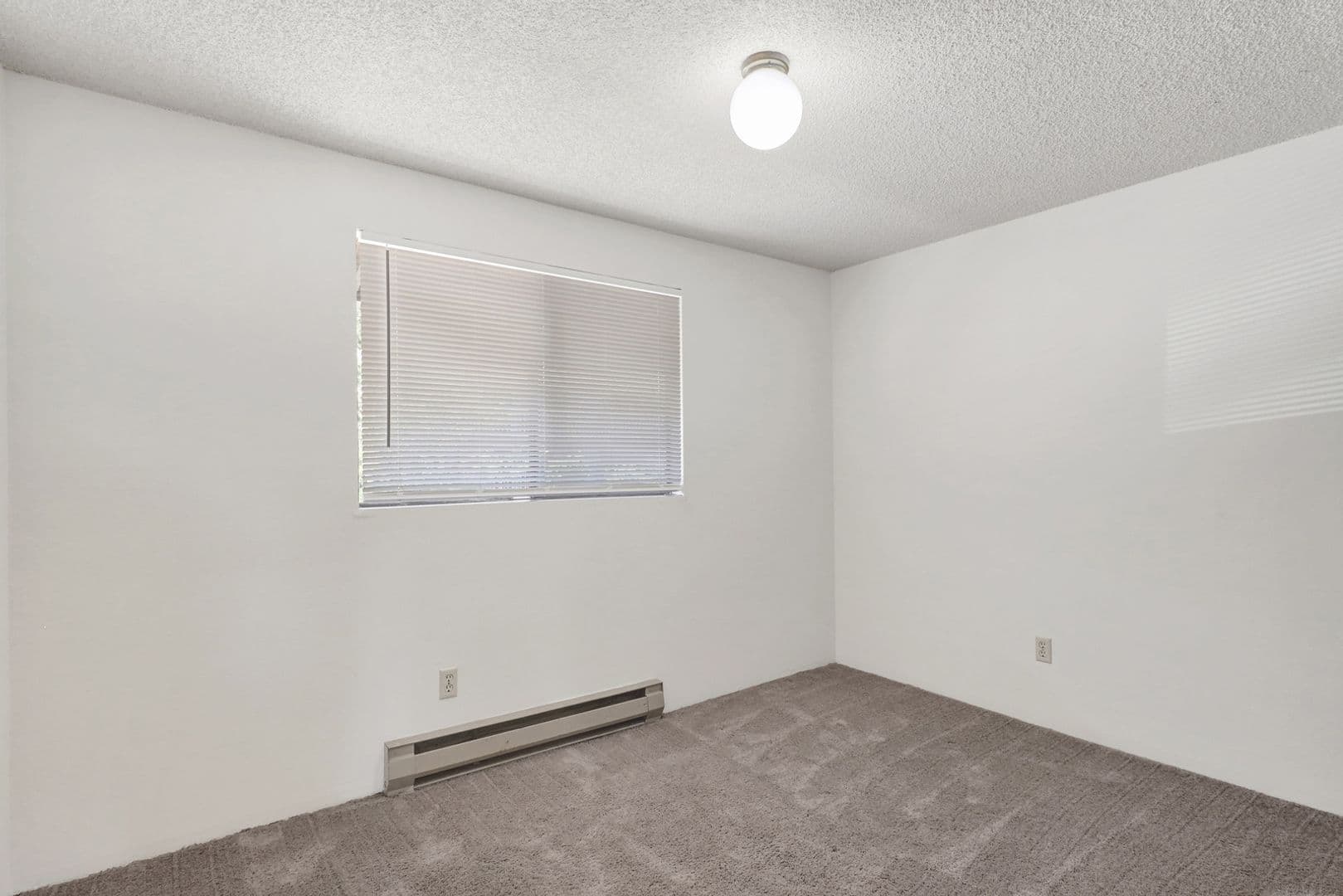 Bellingham Apartment: 808 21st Street