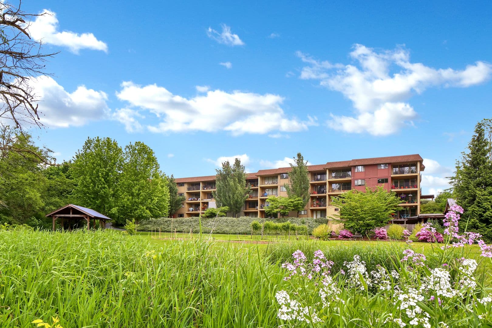 Lynden Apartment: La Villa Drive, 1412 Liberty St, 1414 Liberty St, 14th St