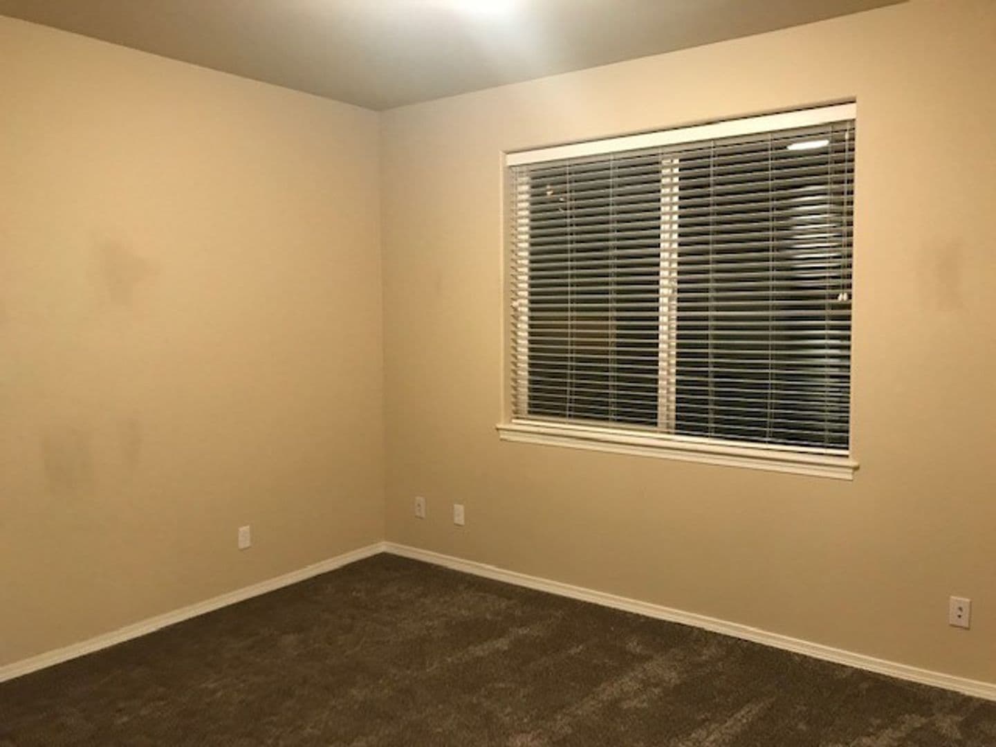 Bellingham Apartment: 600 Boulevard