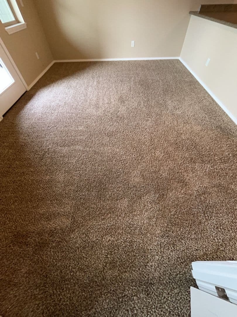 Bellingham Apartment: 1029 22nd Street