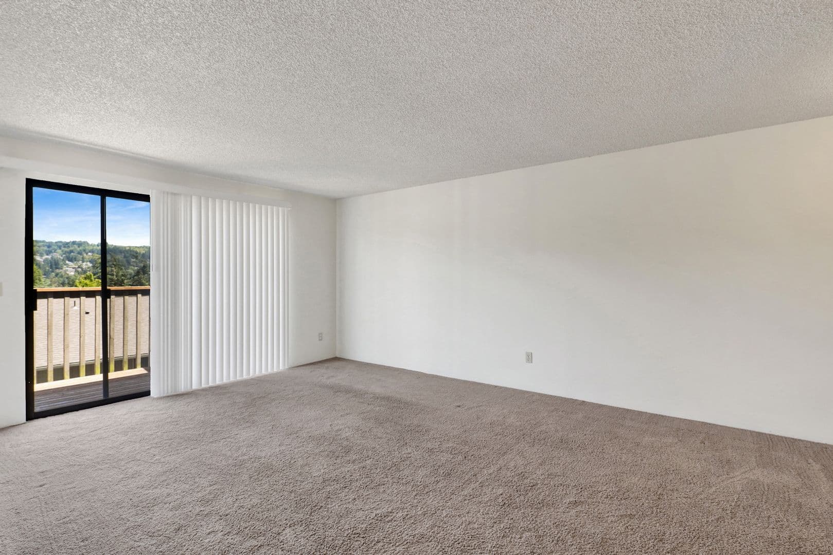 Bellingham Apartment: 808 21st Street