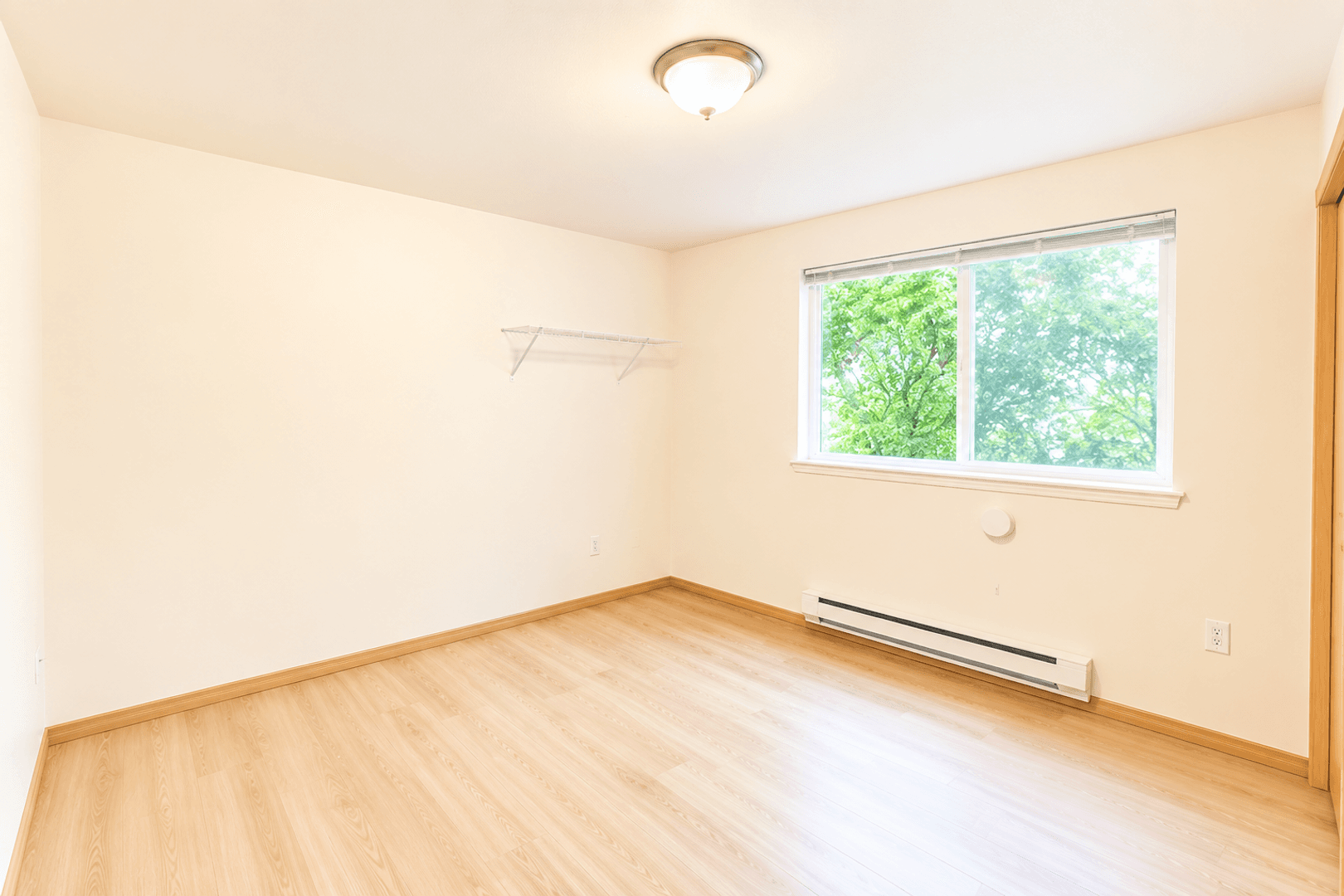 Bellingham Apartment: 508 E Ivy Street