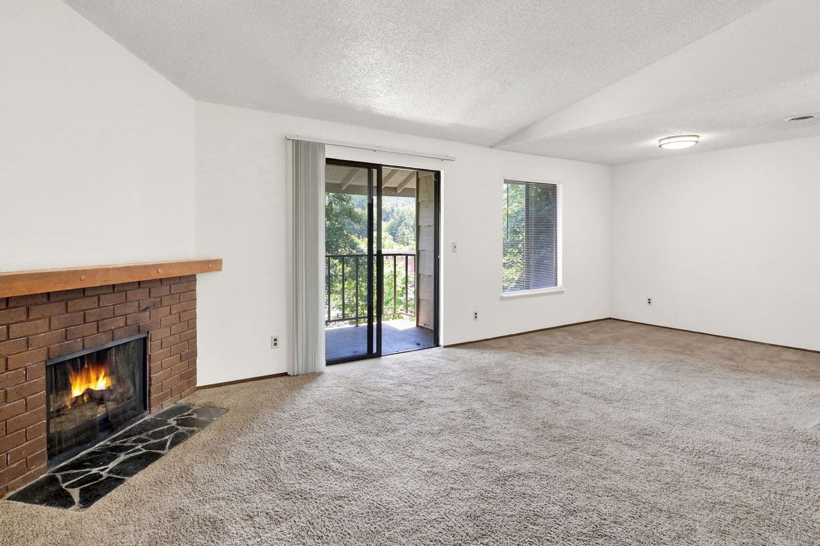 Bellingham Apartment: 316 and 320 Elwood Court