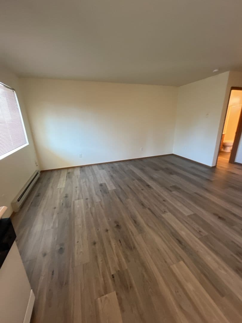 Bellingham Apartment: 910 21st