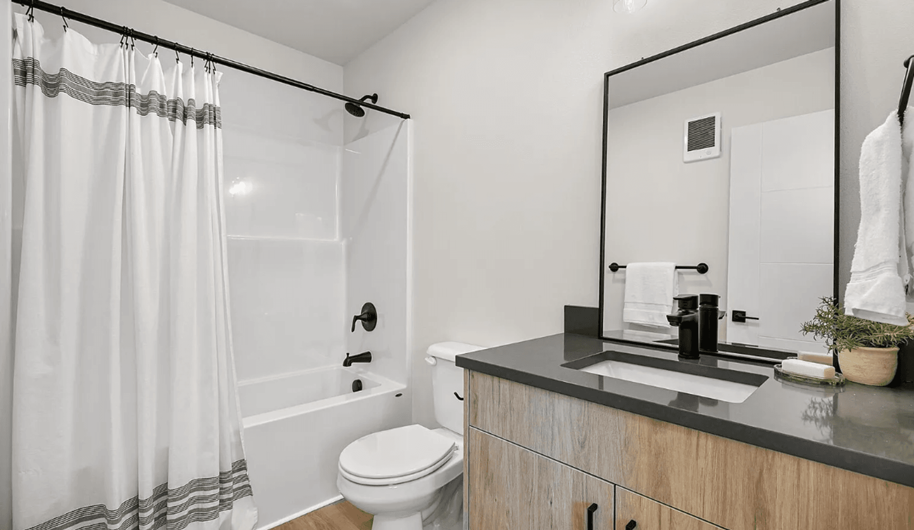 Bellingham Apartment: 217-219 Prince Ave