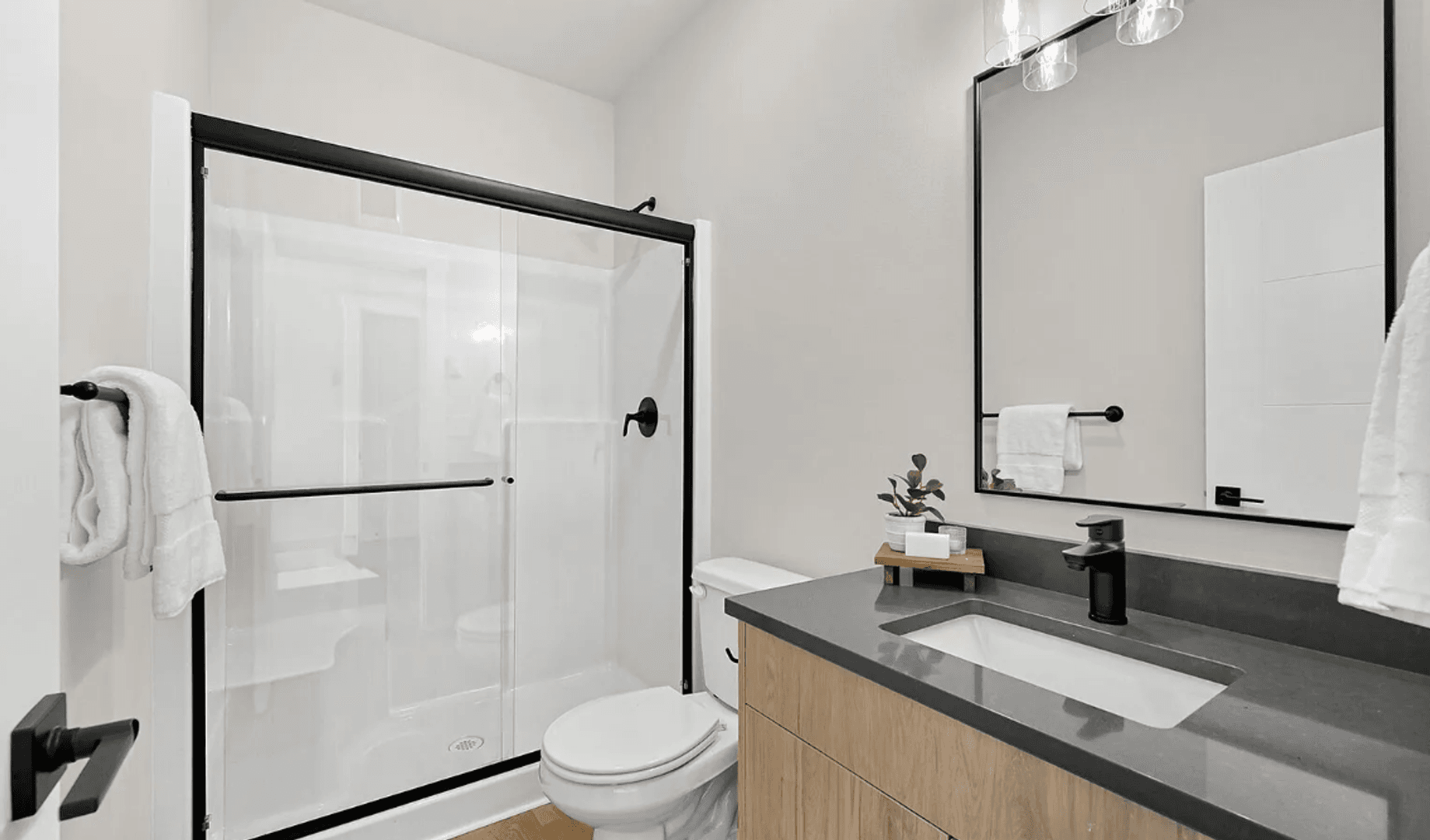 Bellingham Apartment: 217-219 Prince Ave