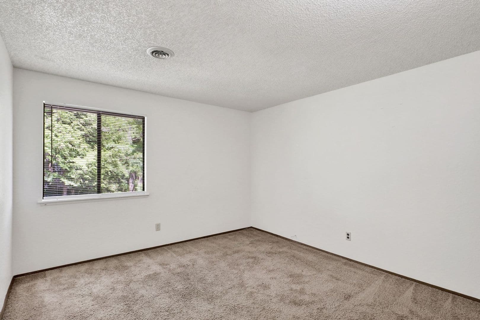 Bellingham Apartment: 316 and 320 Elwood Court