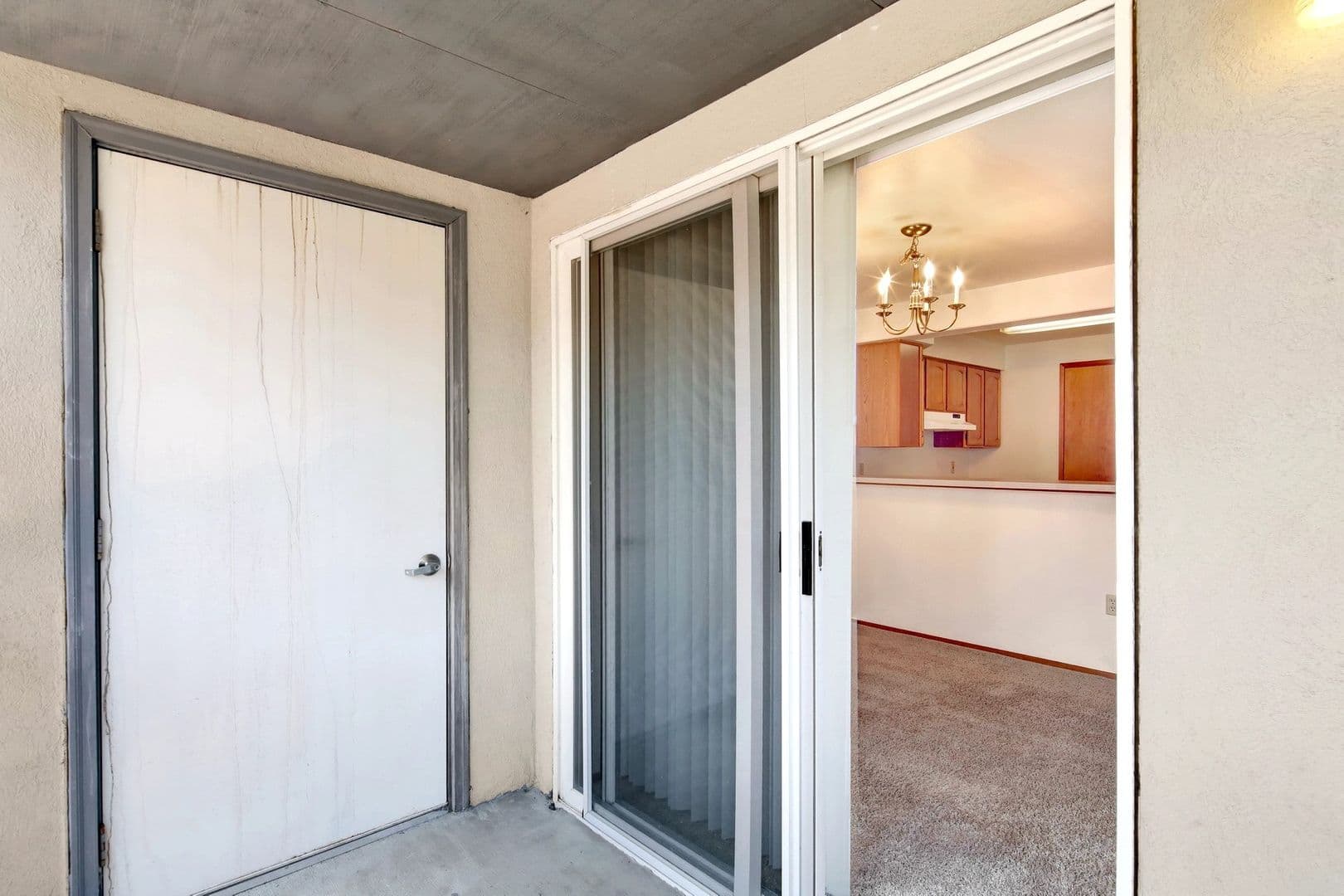 Bellingham Apartment: 2631,2635,2639,2643,2647 W Maplewood Avenue