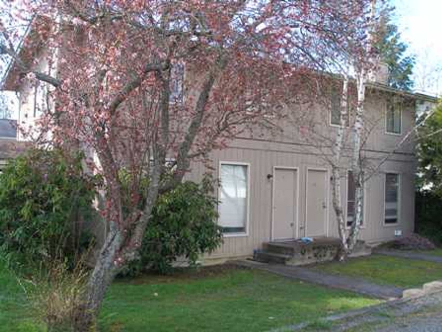 Bellingham Apartment: 2319 Wilson