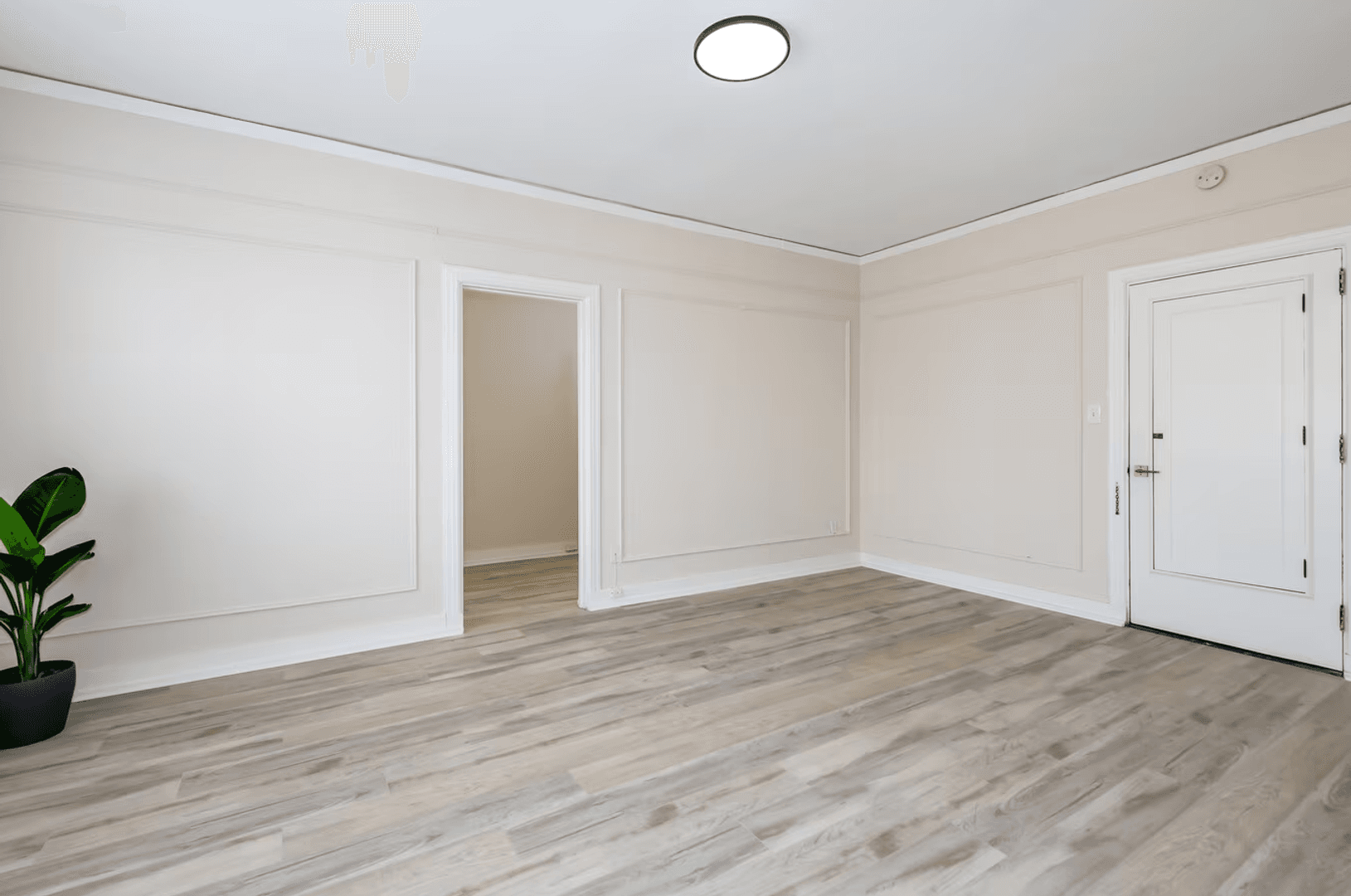 Saint Louis Apartment: 4961 Laclede Ave