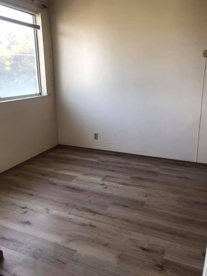 Berkeley Apartment: 2230 Haste St