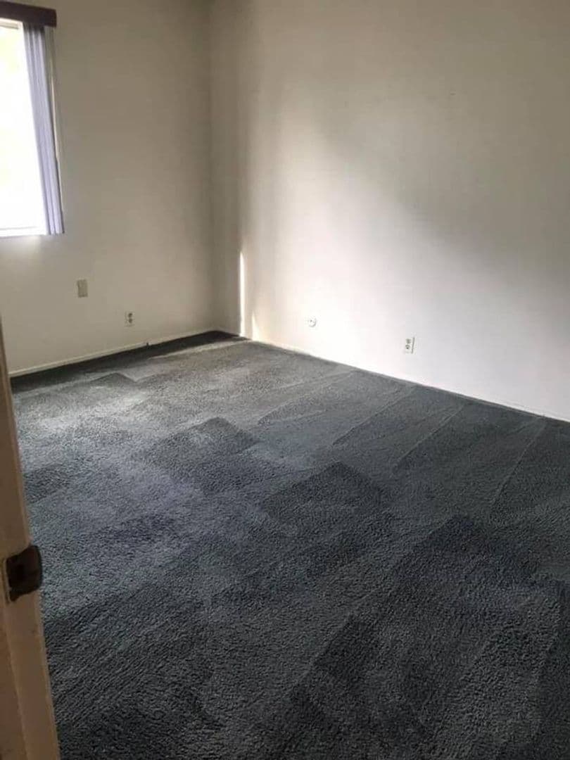 Berkeley Apartment: 2230 Haste St