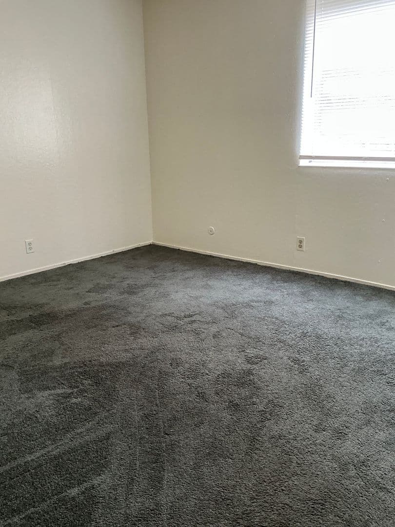 Berkeley Apartment: 2230 Haste St