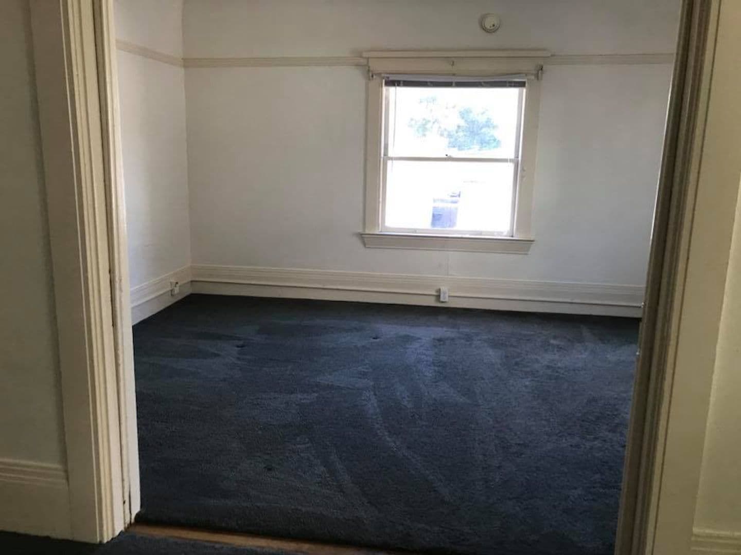 Berkeley Apartment: 2525 Durant Ave