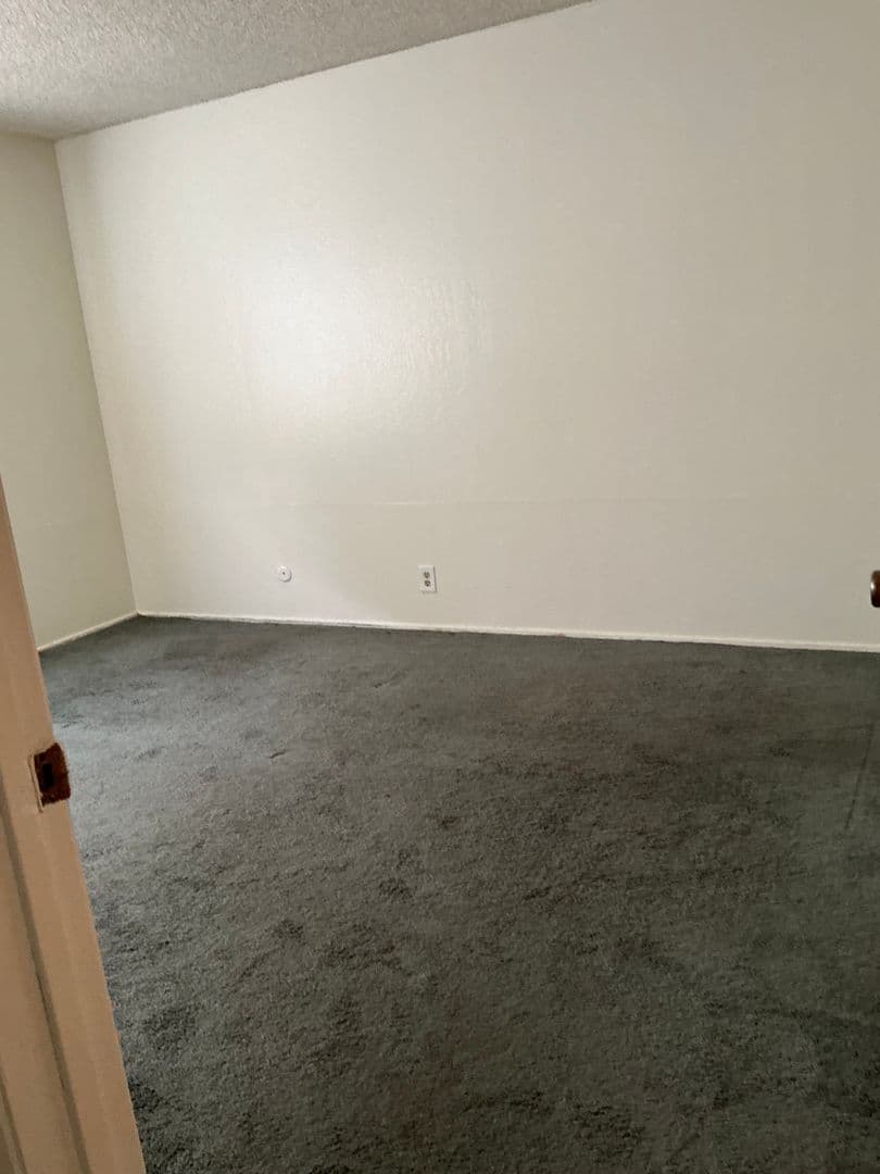 Berkeley Apartment: 2230 Haste St