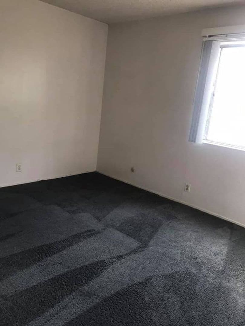 Berkeley Apartment: 2230 Haste St