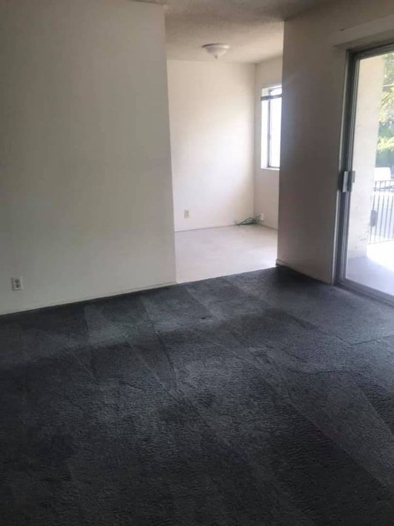 Berkeley Apartment: 2230 Haste St
