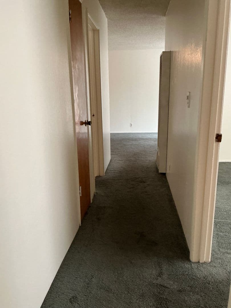 Berkeley Apartment: 2230 Haste St