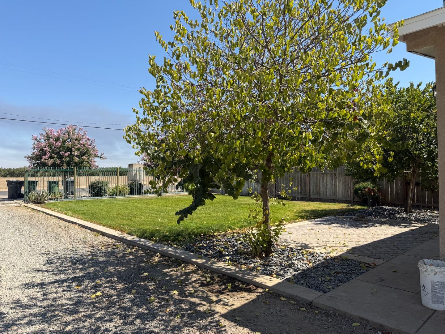Modesto Apartment: 429 Root Rd