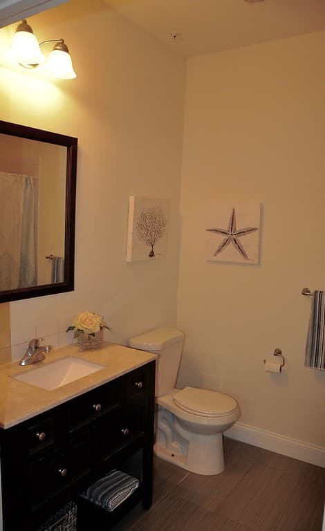 New Brunswick Apartment: 55 Morrell Street