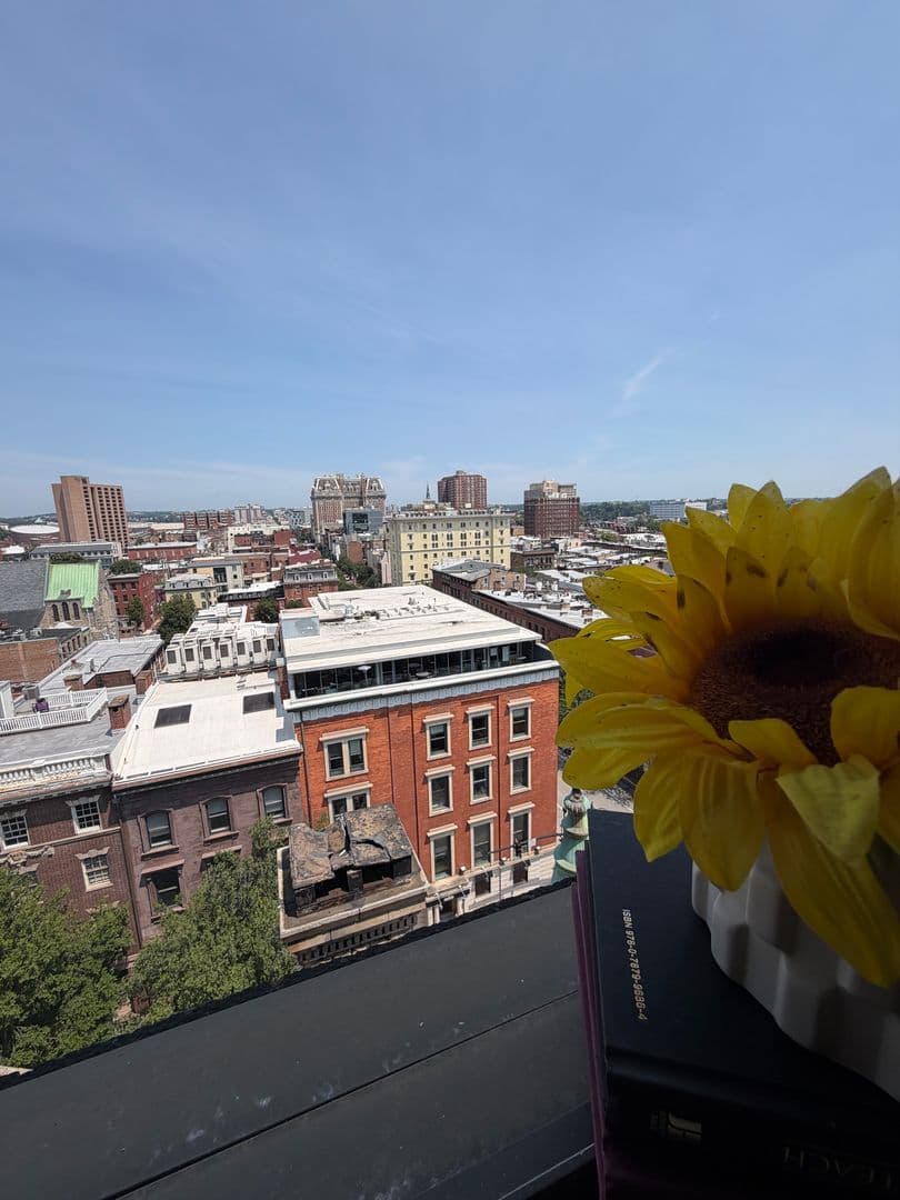 Baltimore Apartment: 716 Washington Place