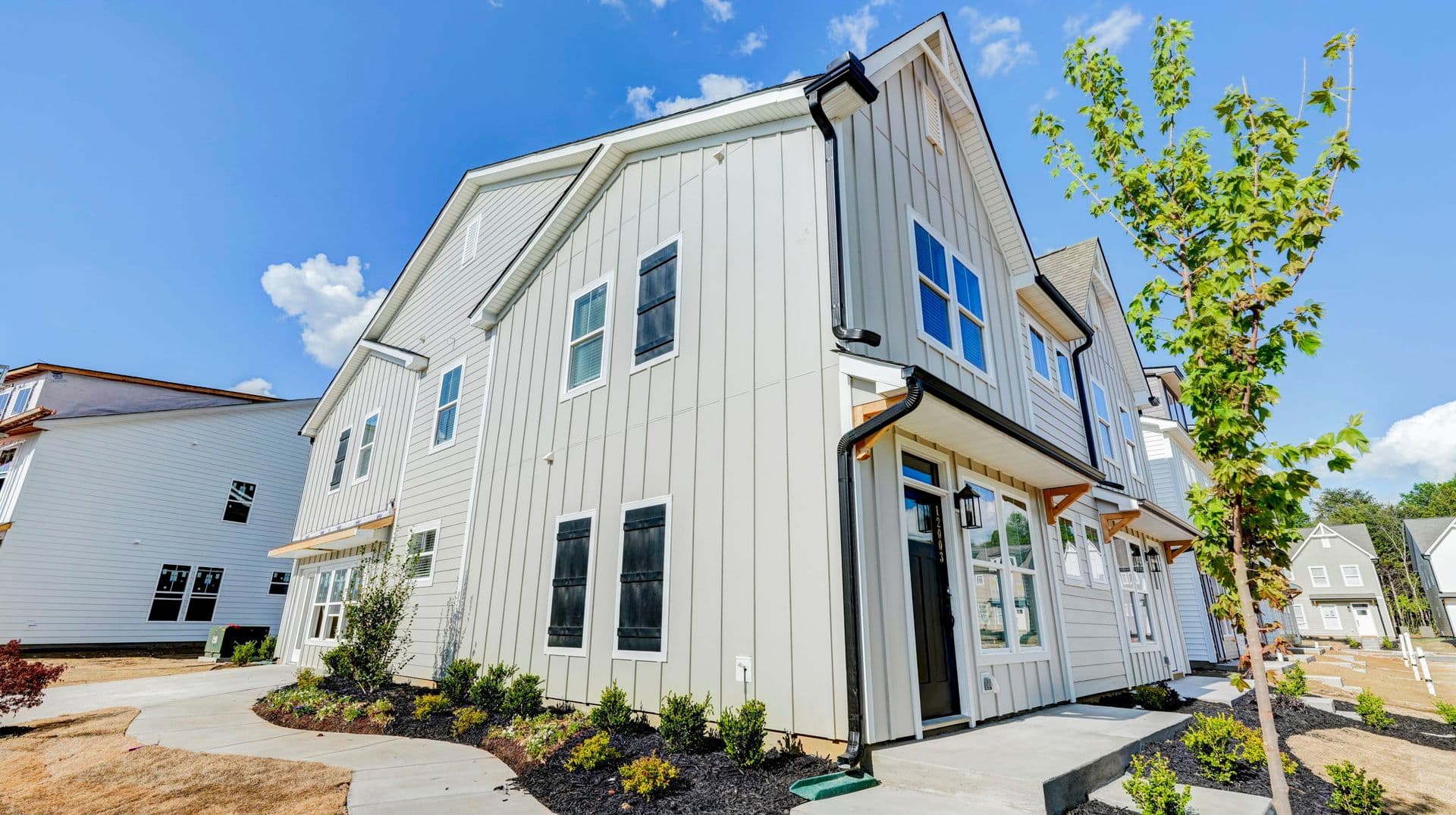 Charlotte Townhome: 12003 Cummin Ave