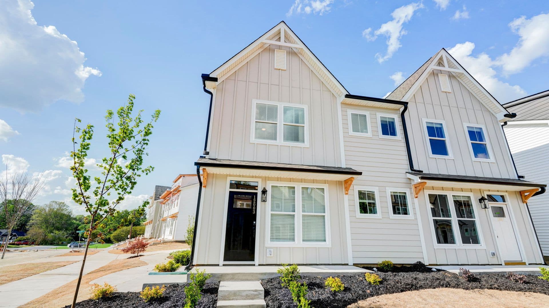 Charlotte Townhome: 12003 Cummin Ave