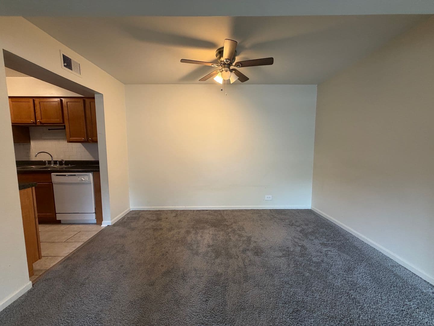 Lake Zurich Apartment: 241-245 W. Main St.