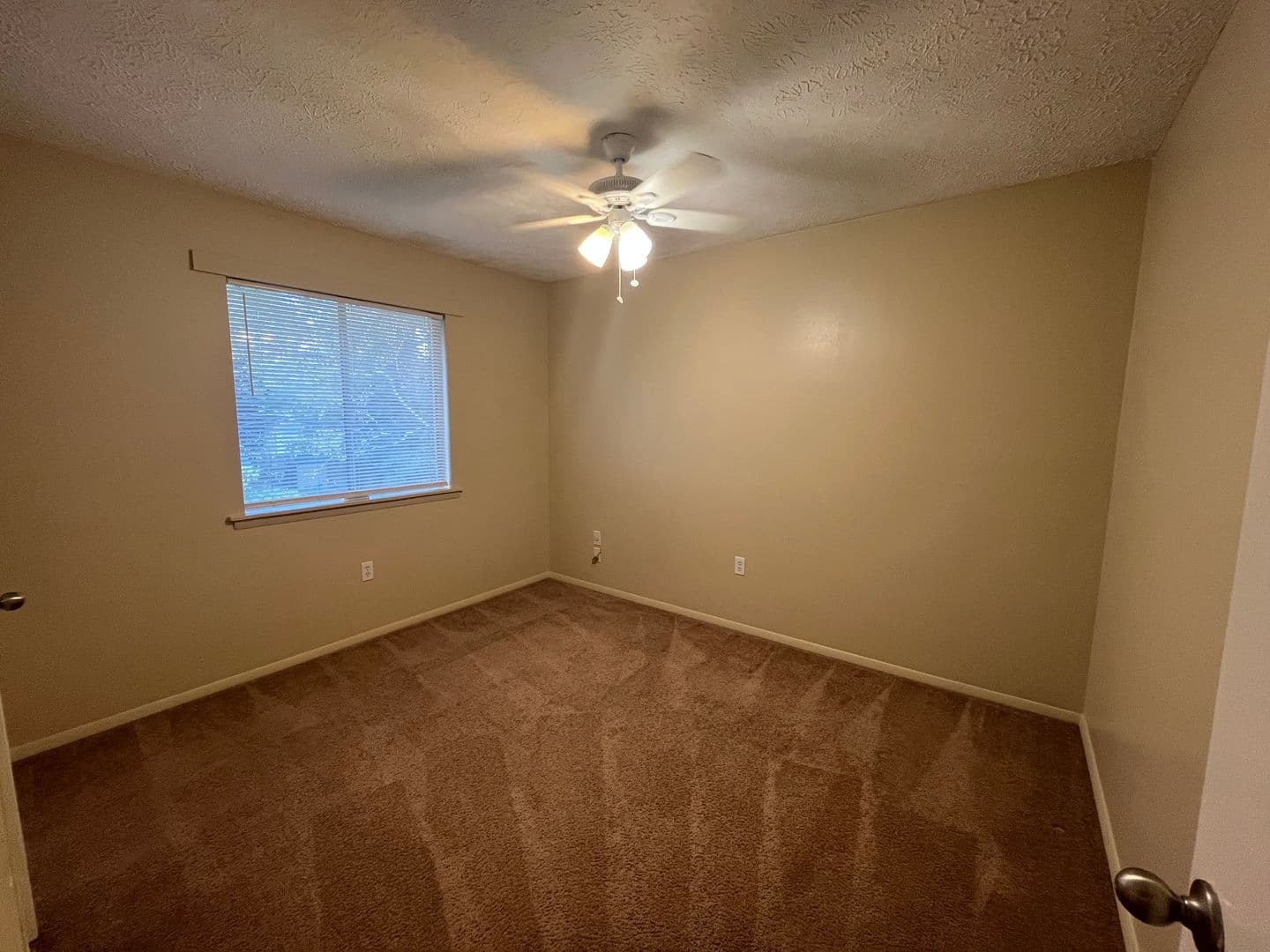 Savannah Apartment: 1100 East 56th Street