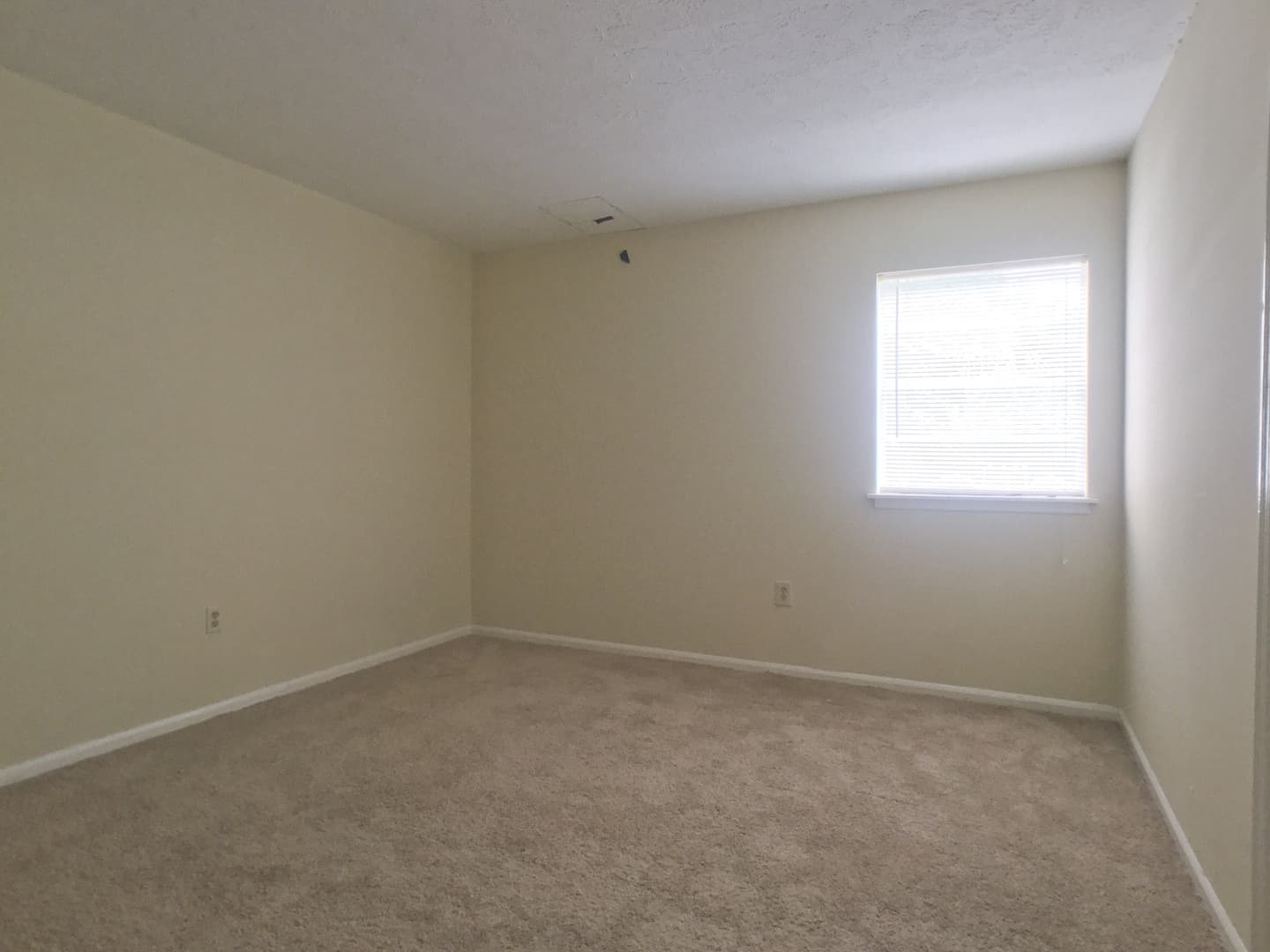 Springfield Apartment: 301 E 2nd Street