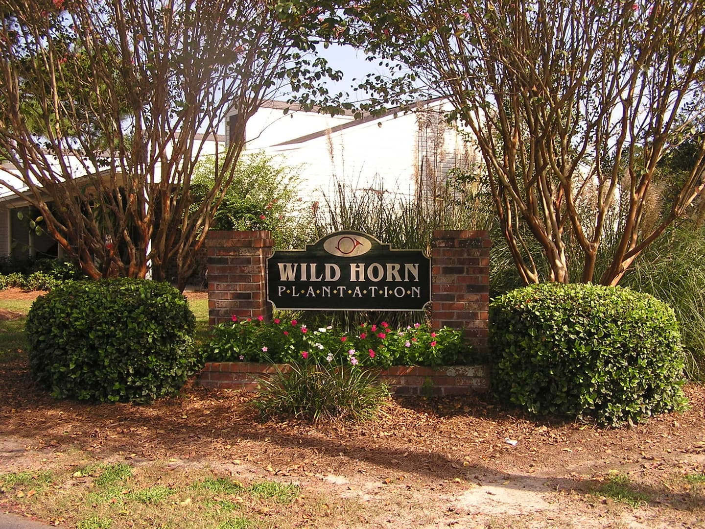 Savannah Apartment: 1431 King George Blvd