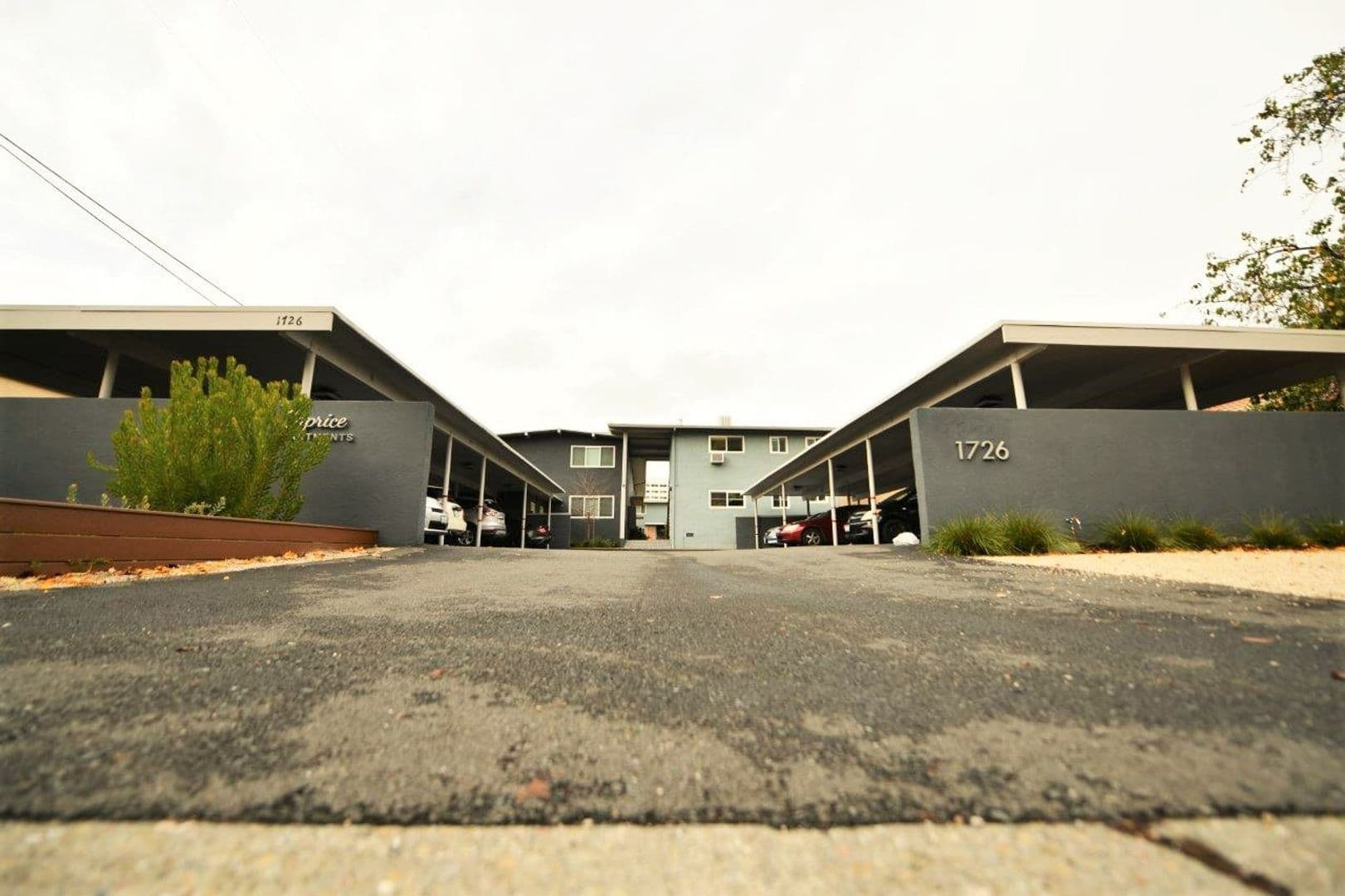 Walnut Creek Apartment: 1726 Lacassie Avenue