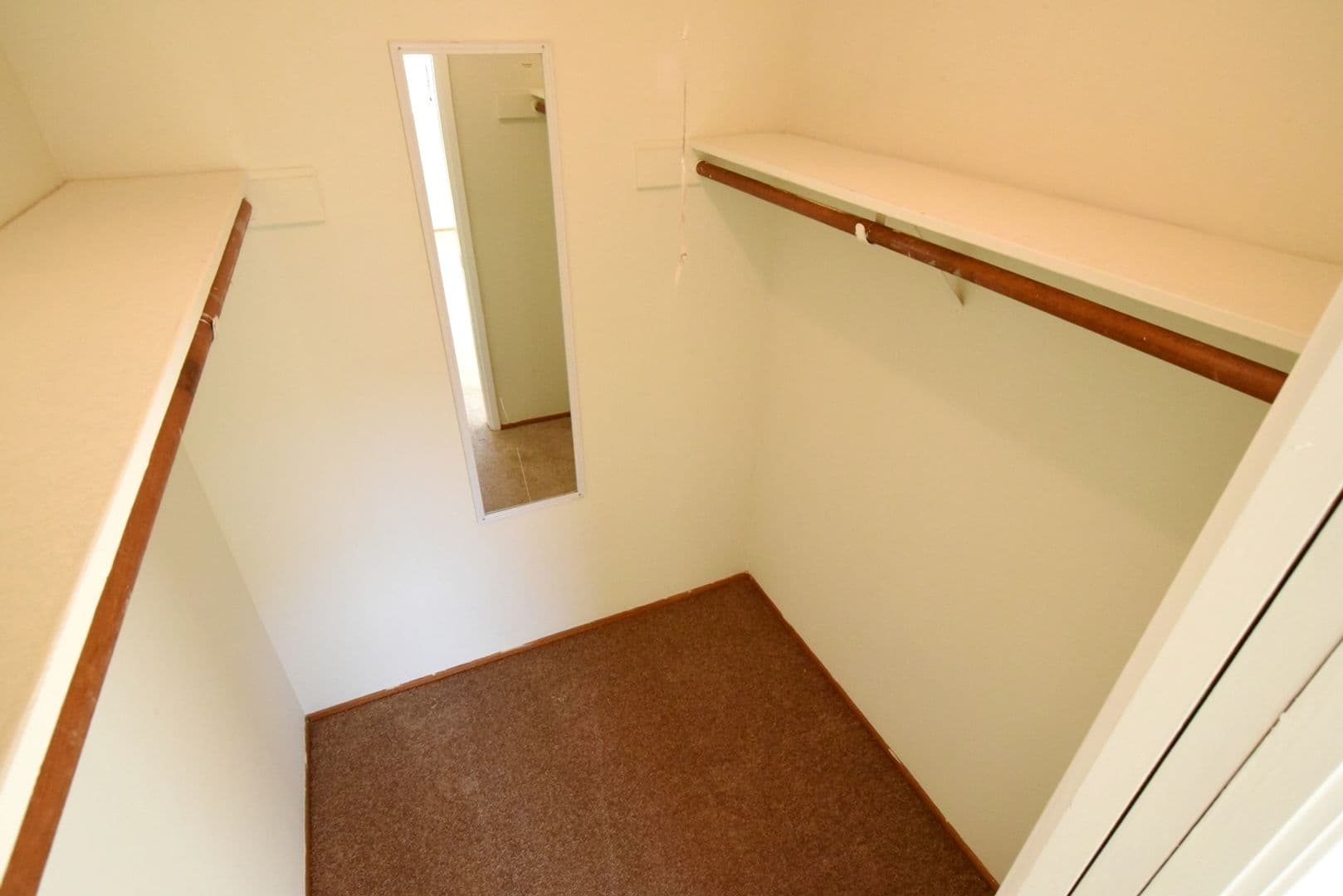 Berkeley Apartment: 1921 Francisco Street