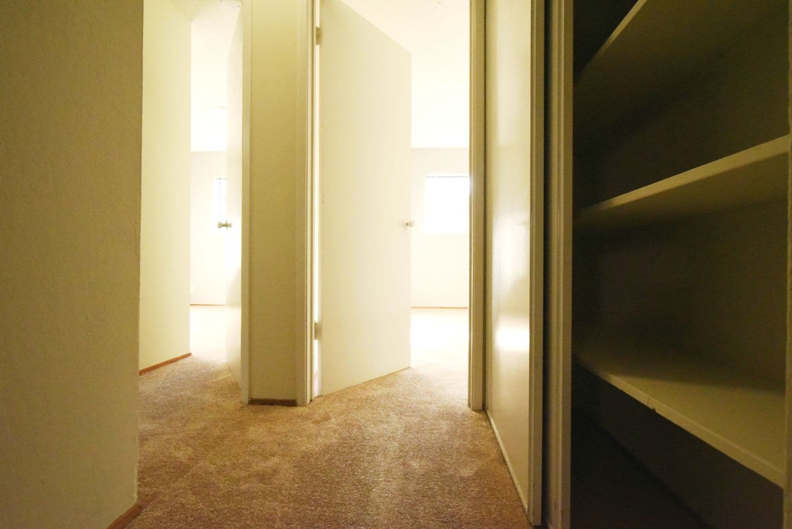 Berkeley Apartment: 1921 Francisco Street