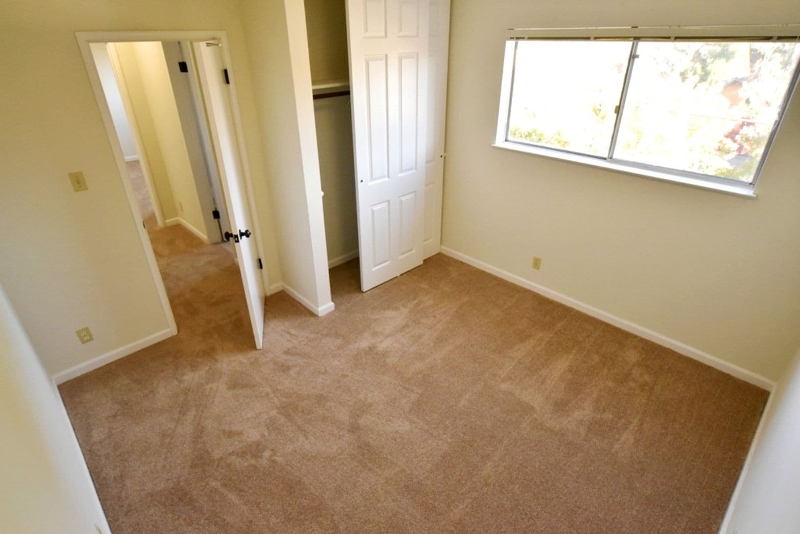 Berkeley Apartment: 2132 Roosevelt Avenue