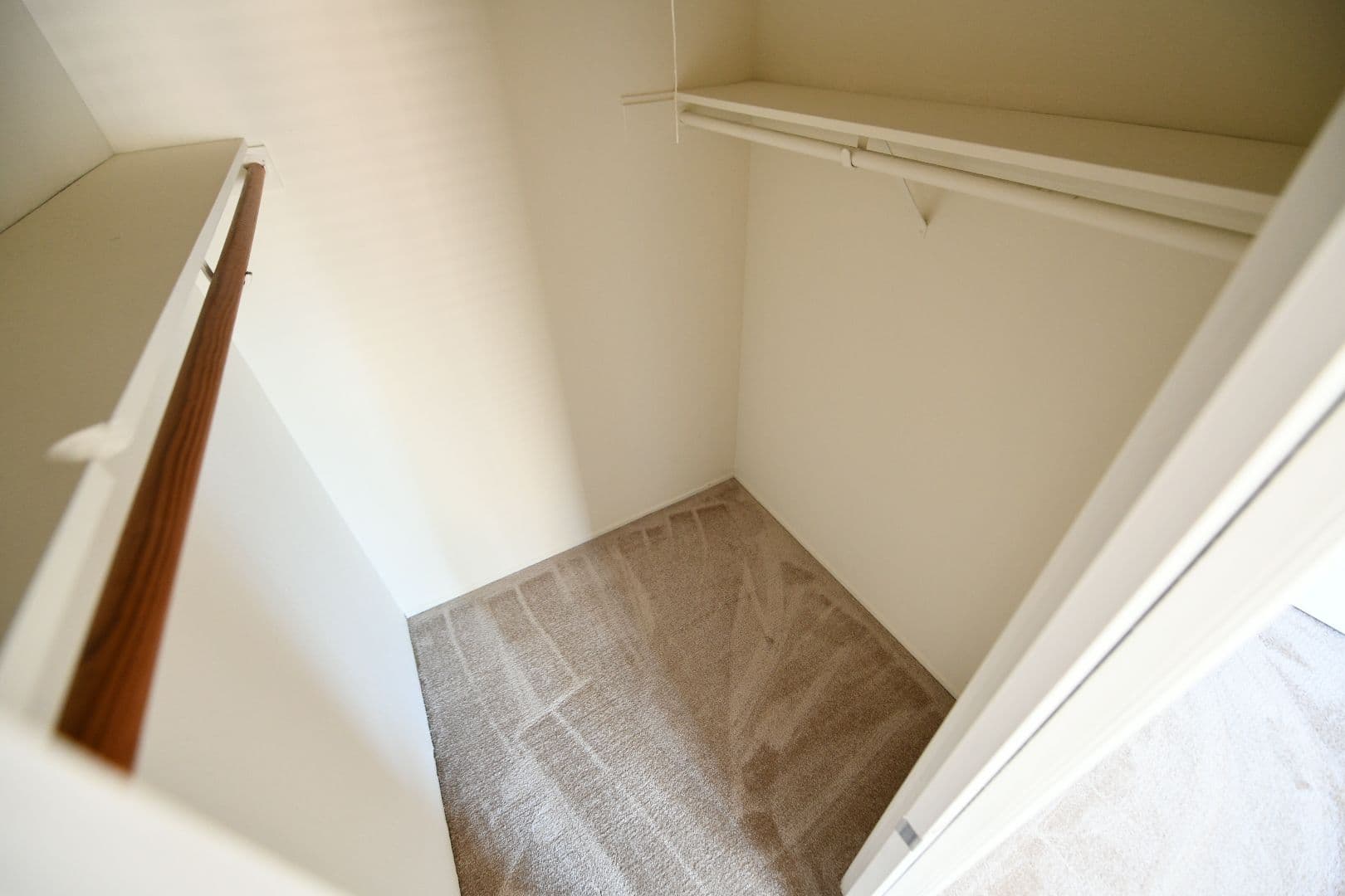 Berkeley Apartment: 1921 Francisco Street