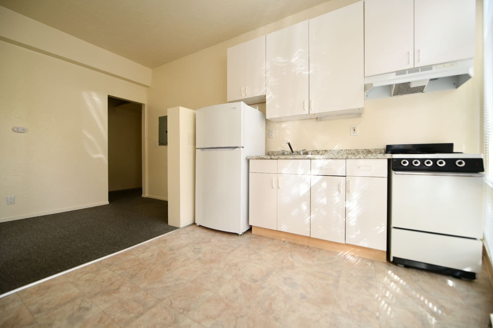 Berkeley Apartment: 2430 Dwight Way/2550 Telegraph Avenue