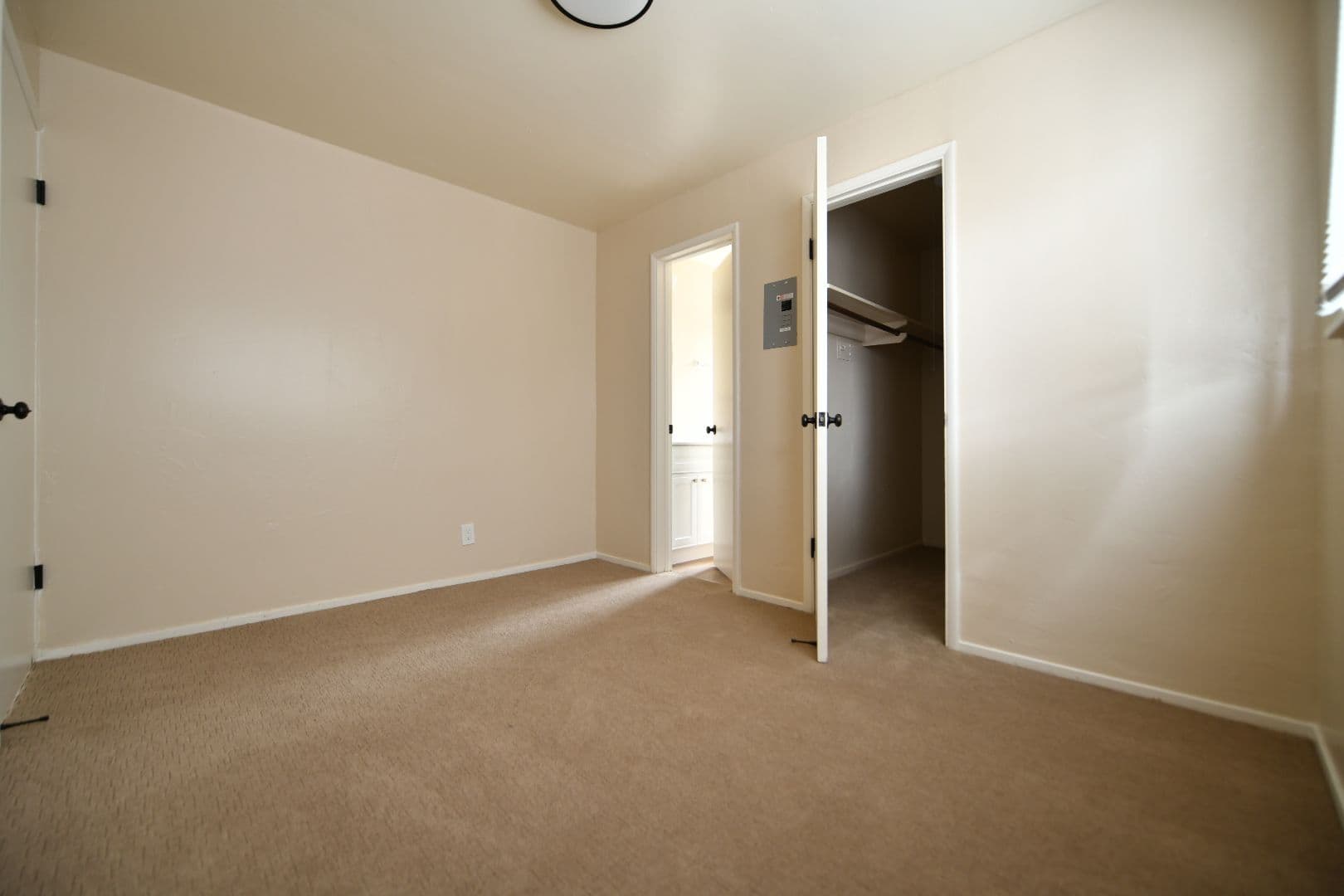 Berkeley Apartment: 3053 Dohr Street