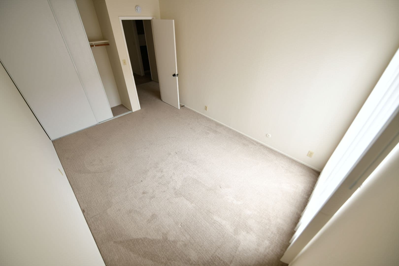 Berkeley Apartment: 2725 Haste Street