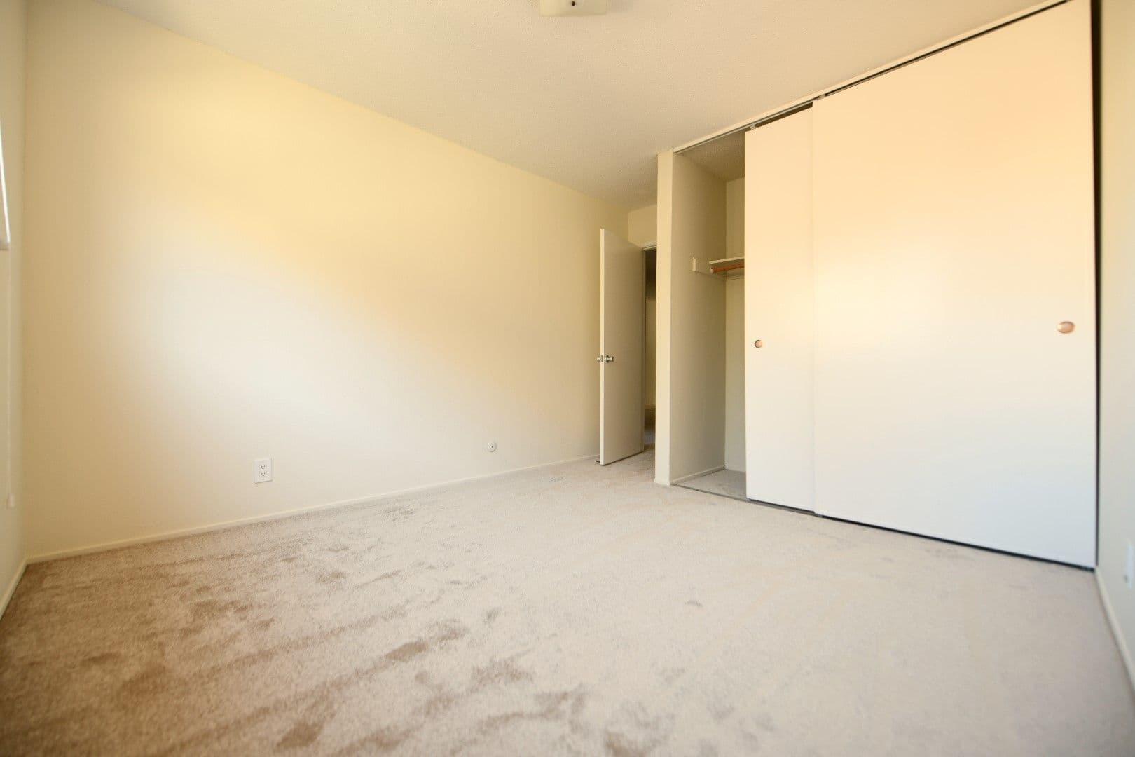 Berkeley Apartment: 1921 Francisco Street