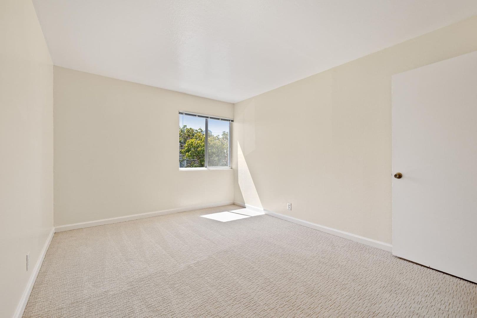 Oakland Apartment: 1435 3rd Avenue