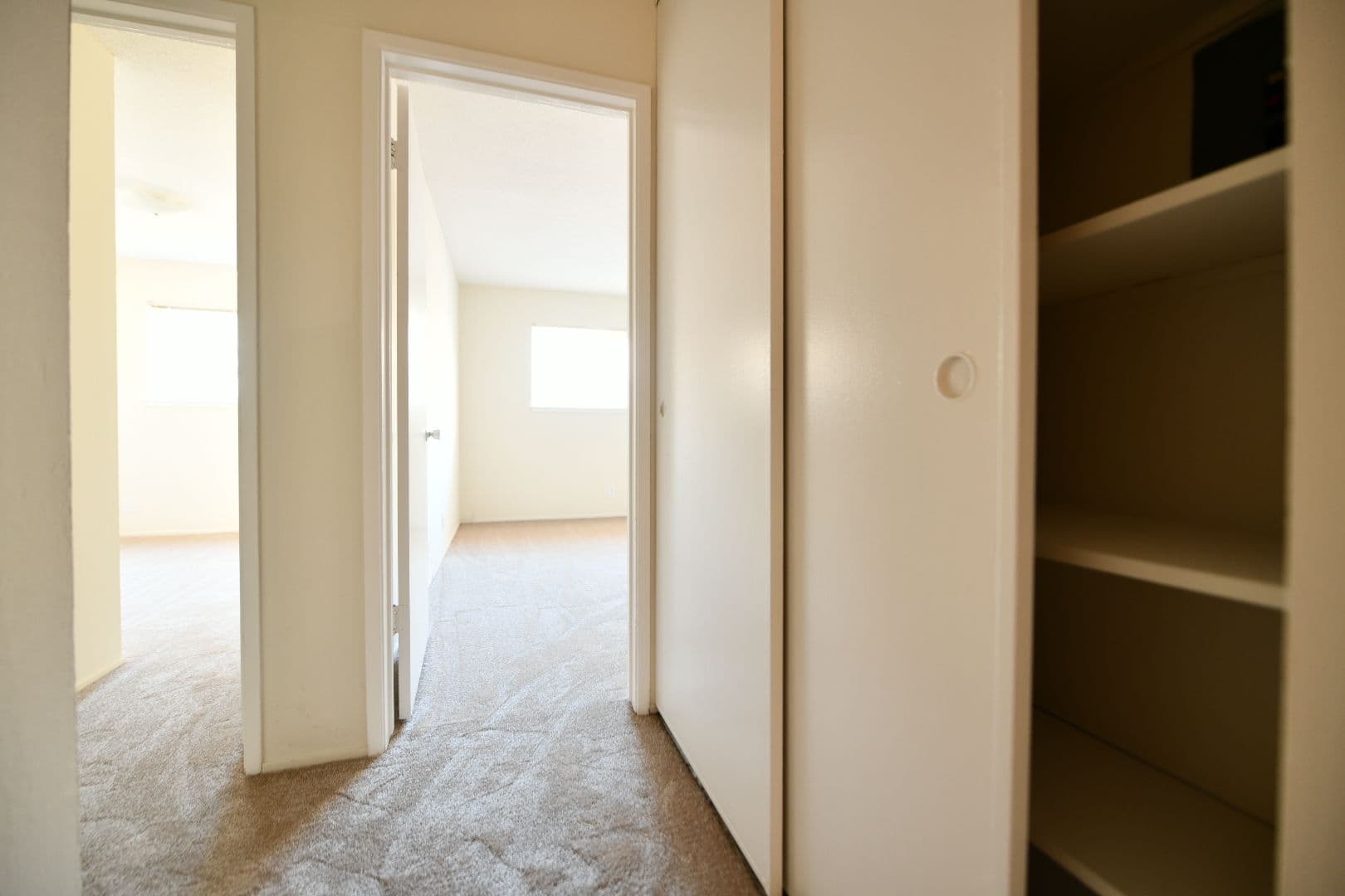 Berkeley Apartment: 1921 Francisco Street