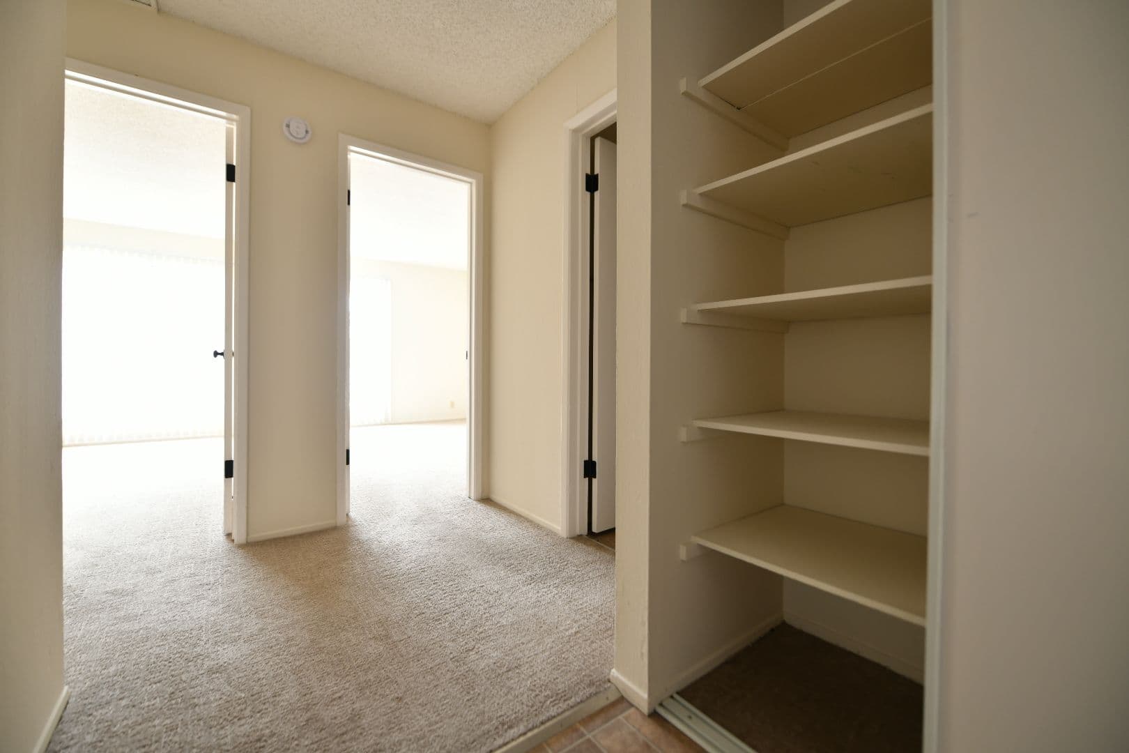 Berkeley Apartment: 2725 Haste Street