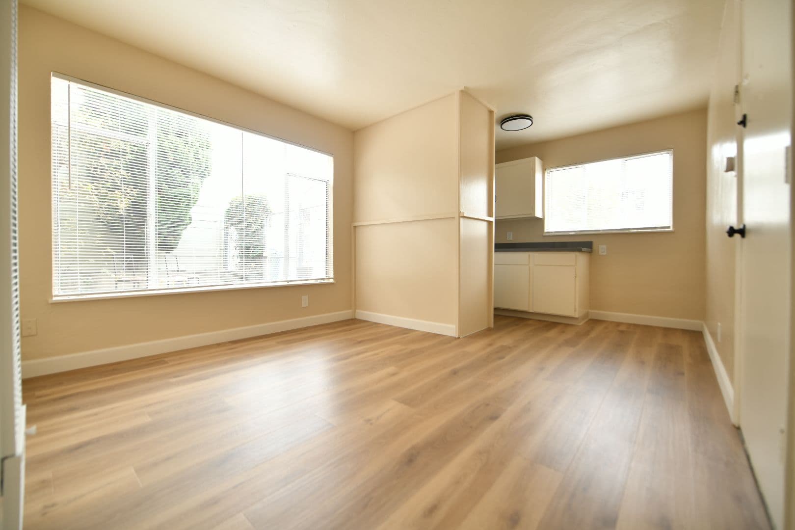 Berkeley Apartment: 3053 Dohr Street