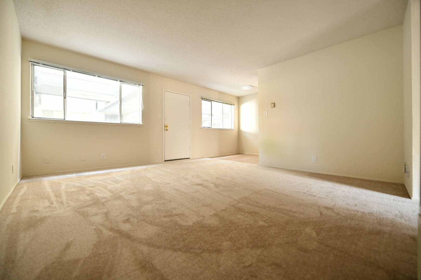 Berkeley Apartment: 1921 Francisco Street