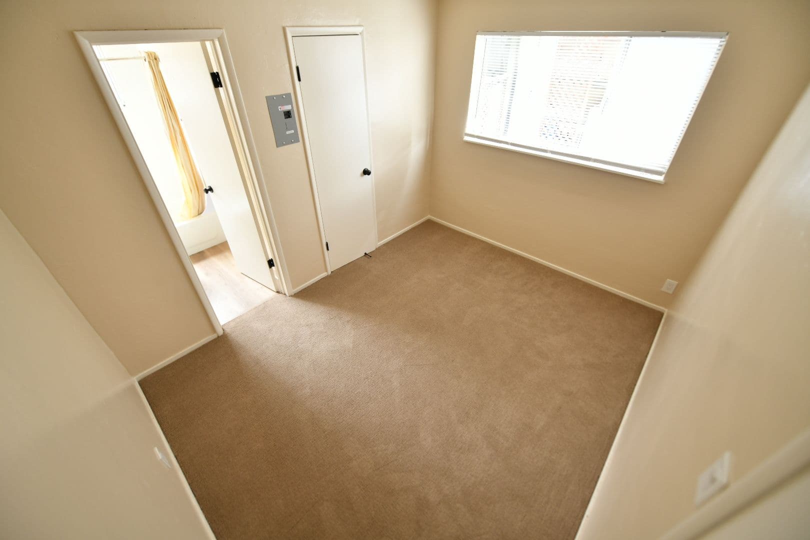 Berkeley Apartment: 3053 Dohr Street