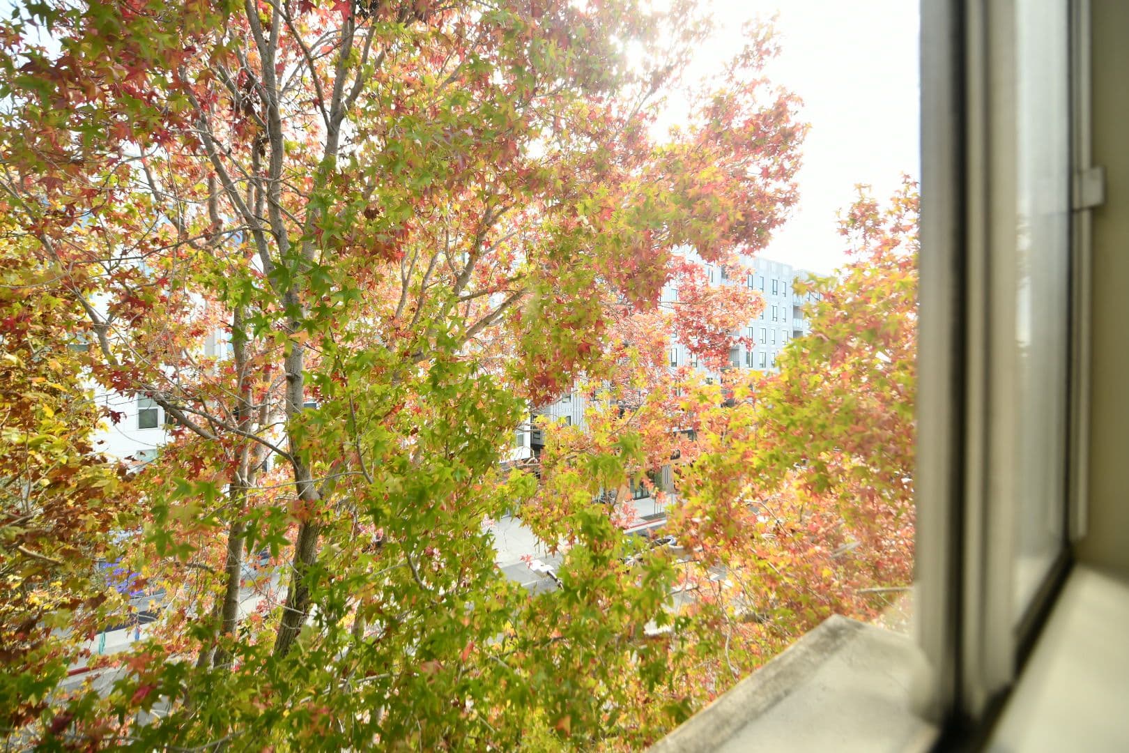 Berkeley Apartment: 2430 Dwight Way/2550 Telegraph Avenue