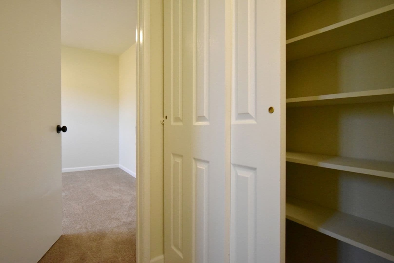 Berkeley Apartment: 2132 Roosevelt Avenue