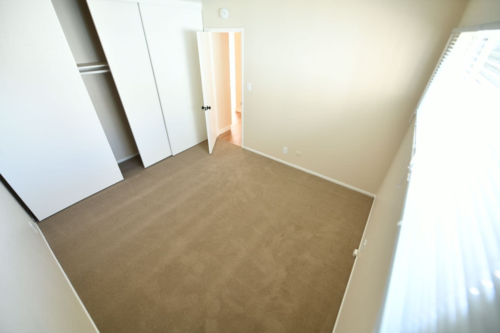 Berkeley Apartment: 2418 Dwight Way