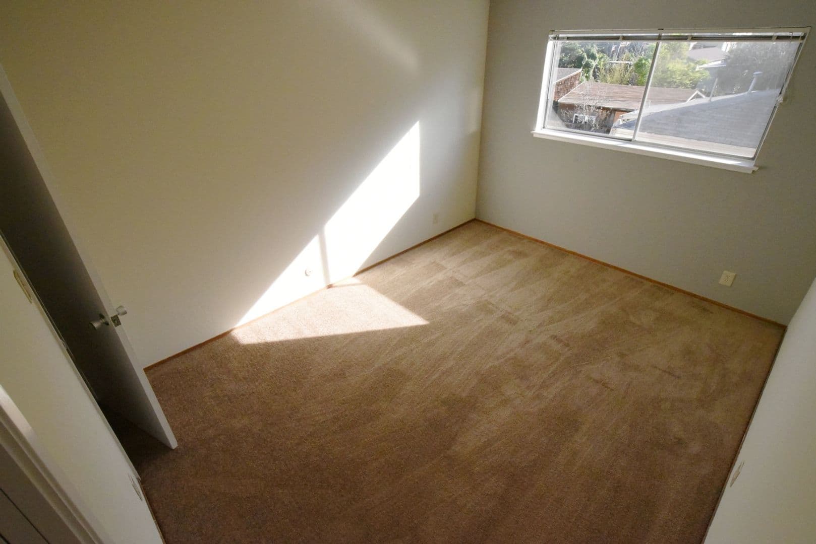 Berkeley Apartment: 1921 Francisco Street